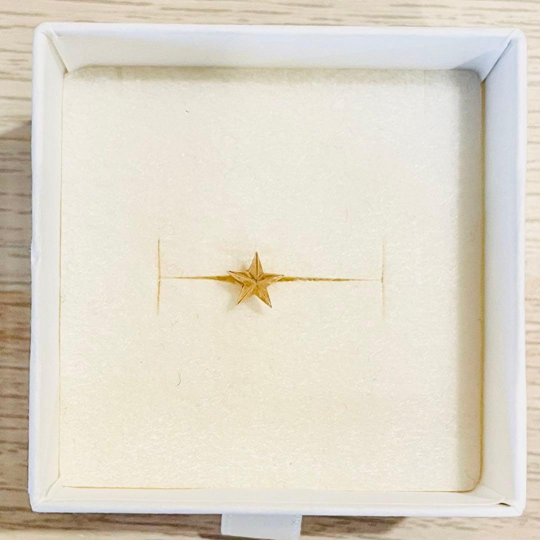 ファンタスティックマン スターピアス K18