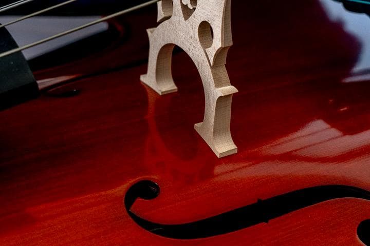 Rani スズキ 4/4サイズ チェロ/弓セット