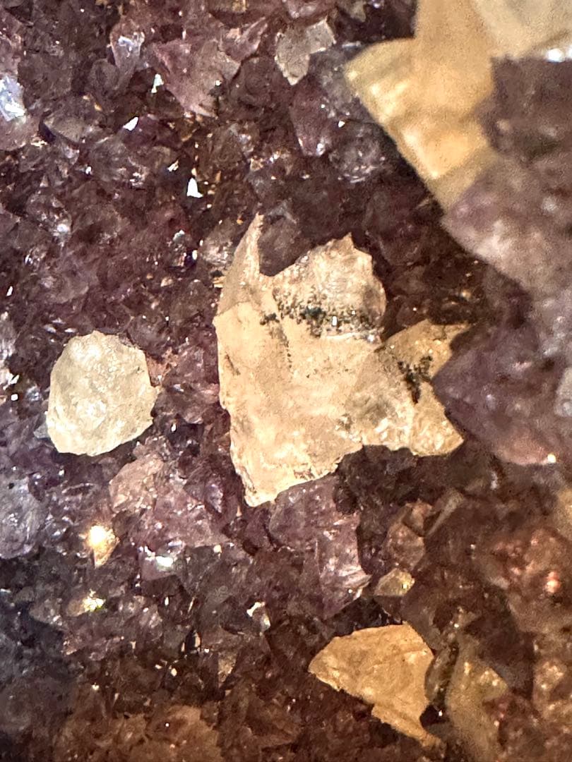 特価　アメジストドーム（カペラ）127