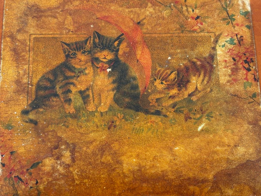 フランス　蚤の市　猫　木箱　仕切り　ブロカント