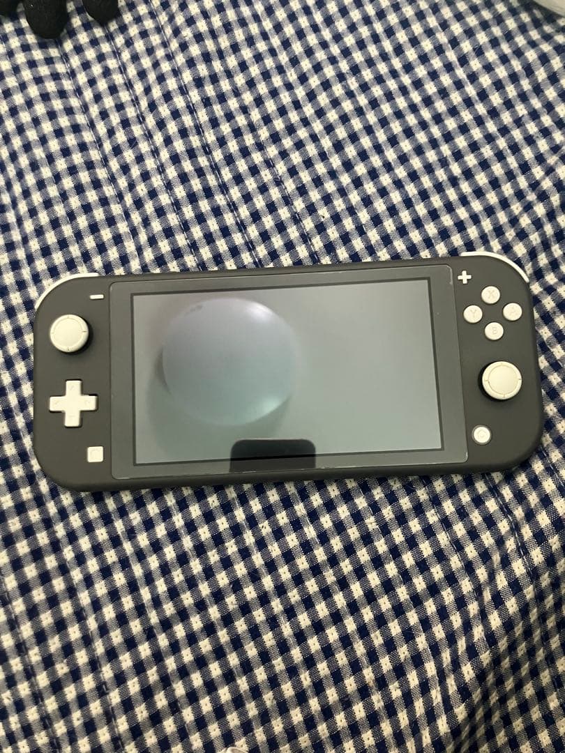 【箱&充電器無し】Nintendo Switch Lite 本体のみ