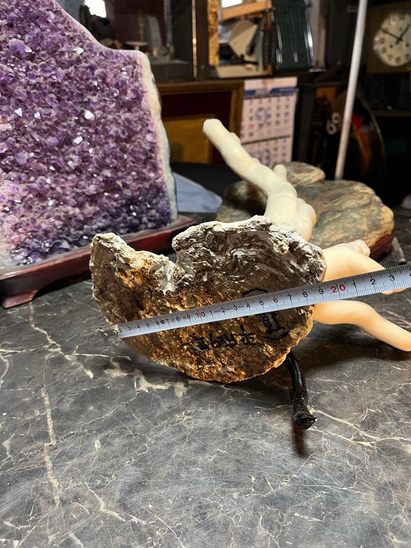 海松、深海松、白珊瑚、38センチ