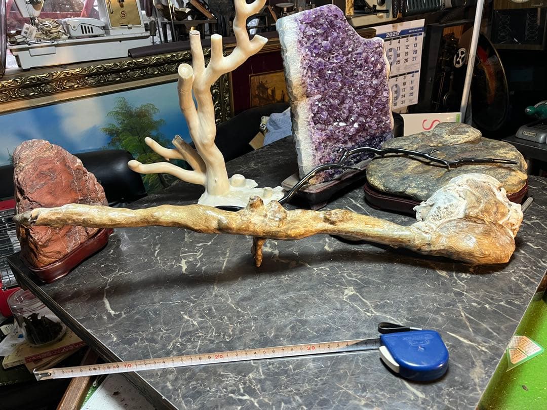 海松、深海松、白珊瑚、38センチ