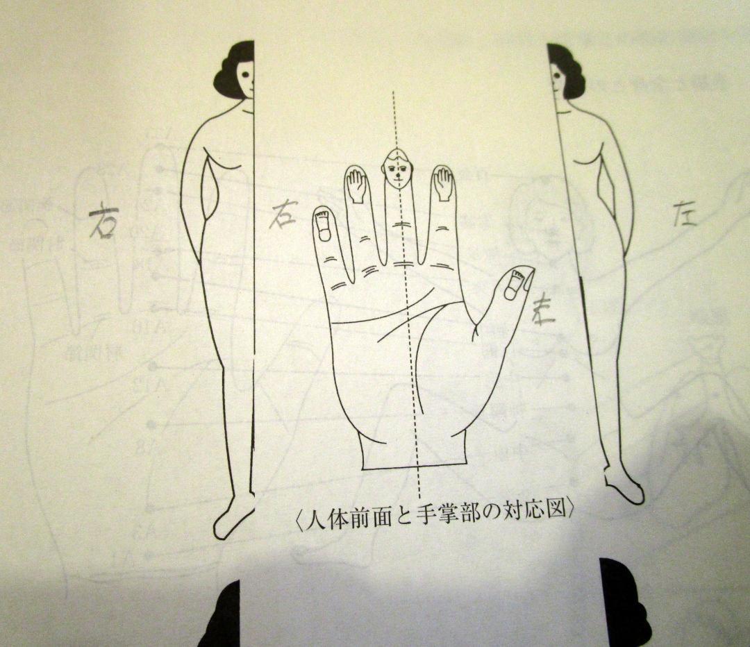 高麗手指鍼講座