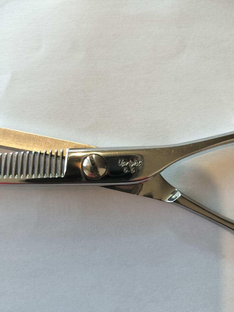 セニングシザー 菊水