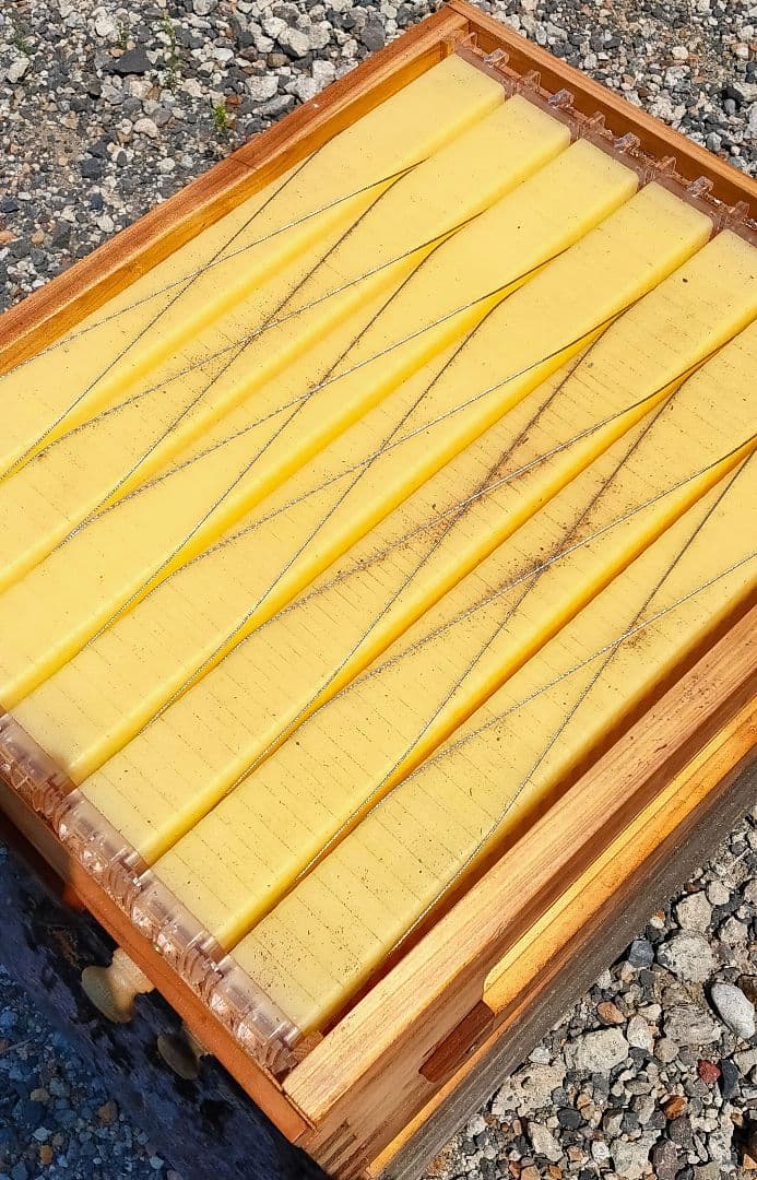 養蜂箱 蜂蜜 フローハイブ