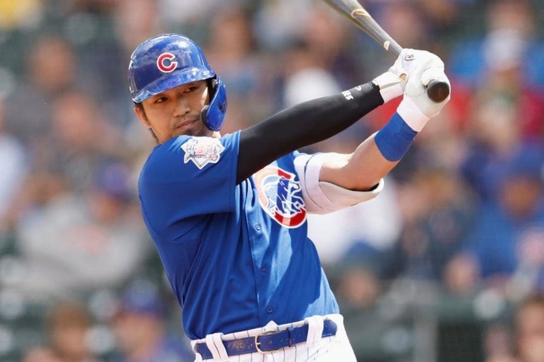 や*ん様 鈴木誠也　メジャー1年目使用バット　アシックス