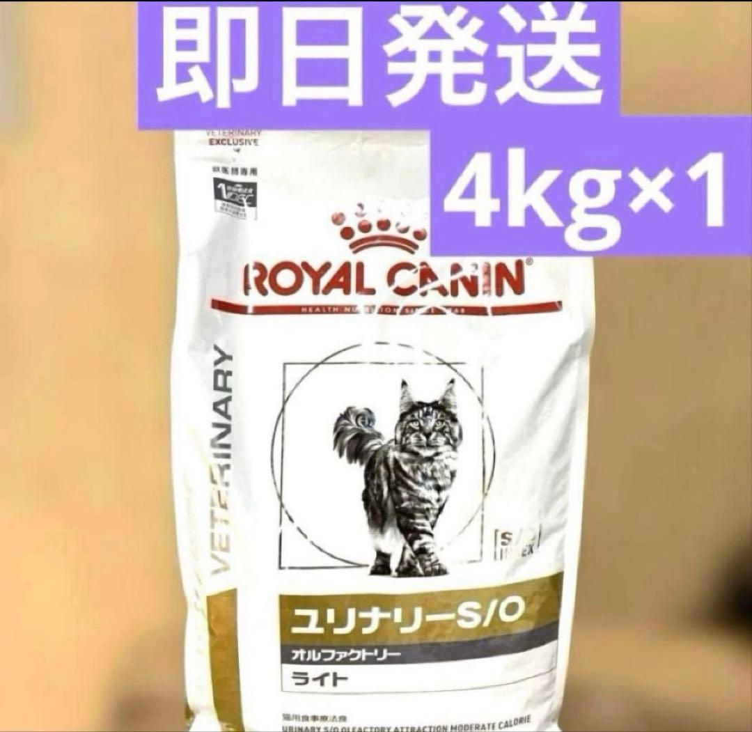 ロイヤルカナン ユリナリー S/O オルファクトリー 4kg