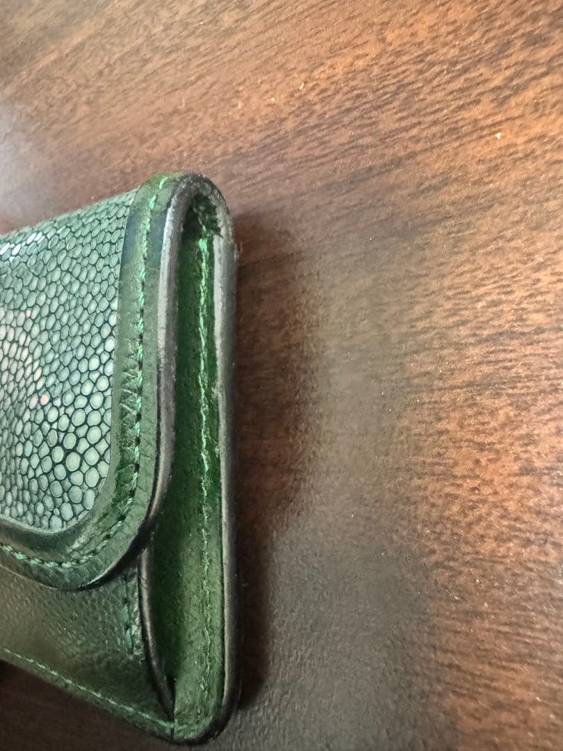 ワイルドスワンズ　タング　ガルーシャ　グリーン