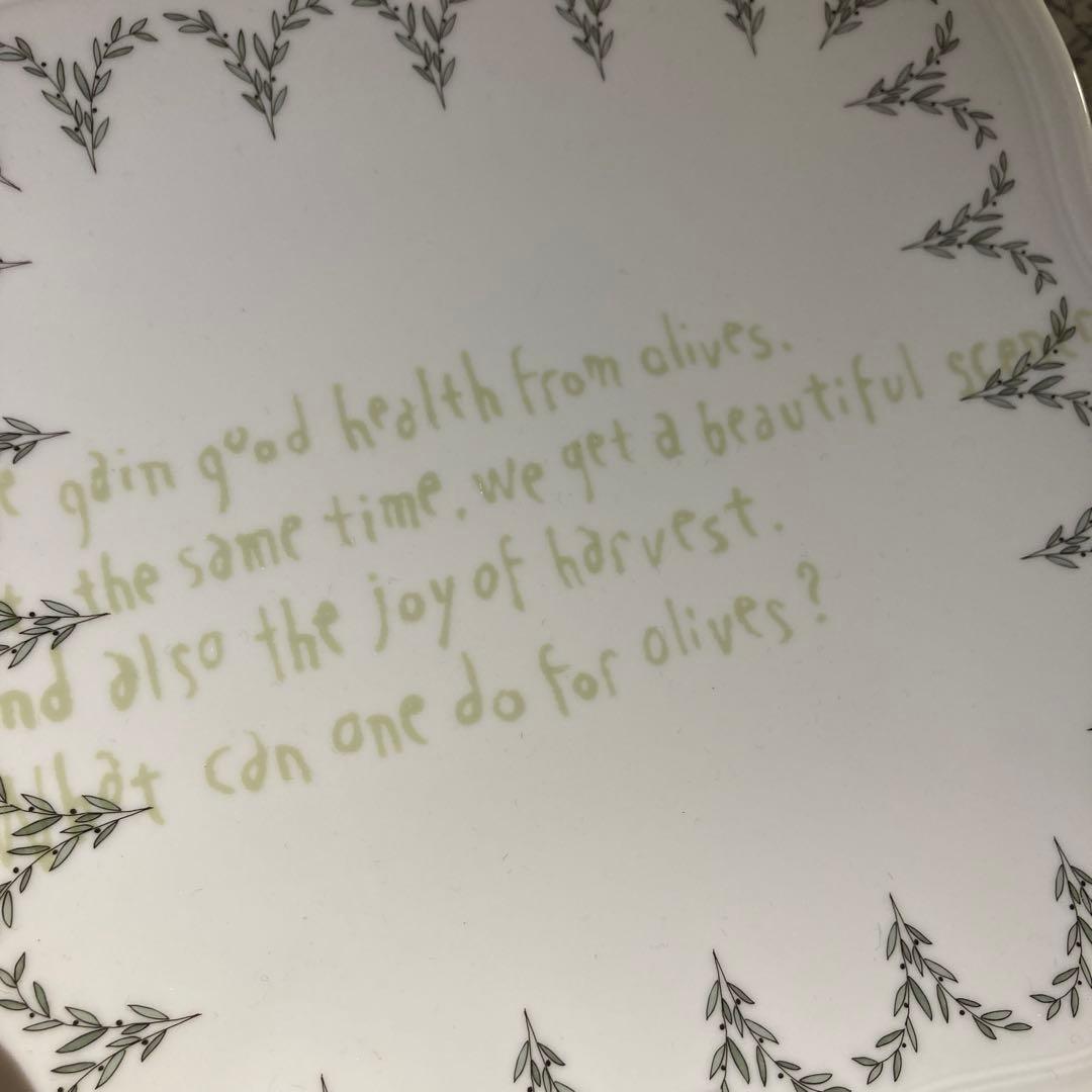 激レア　ミナペルホネン　リチャードジノリ　パスザバトン　コラボプレート22cm