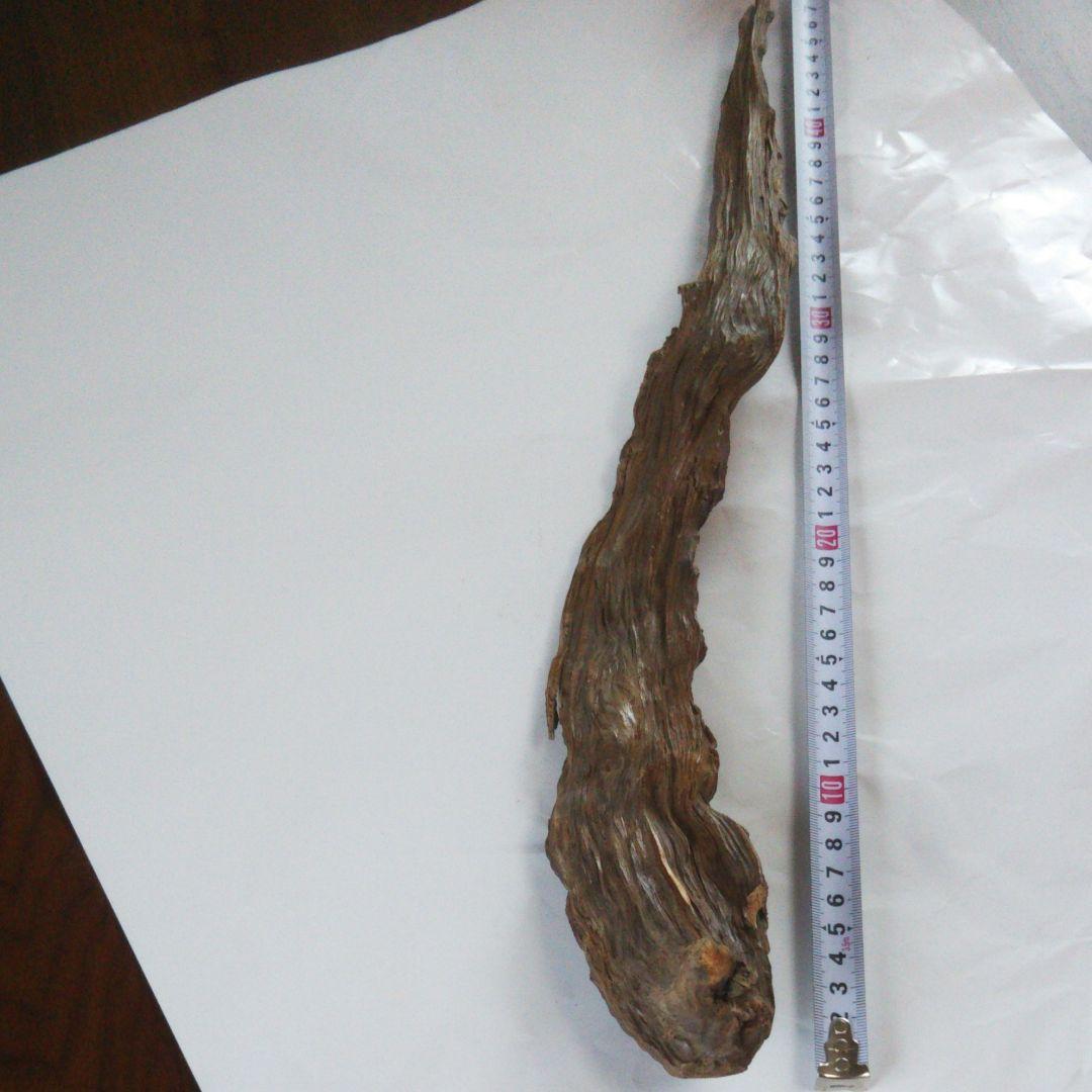 2025年巳年、肥松縁起物置物