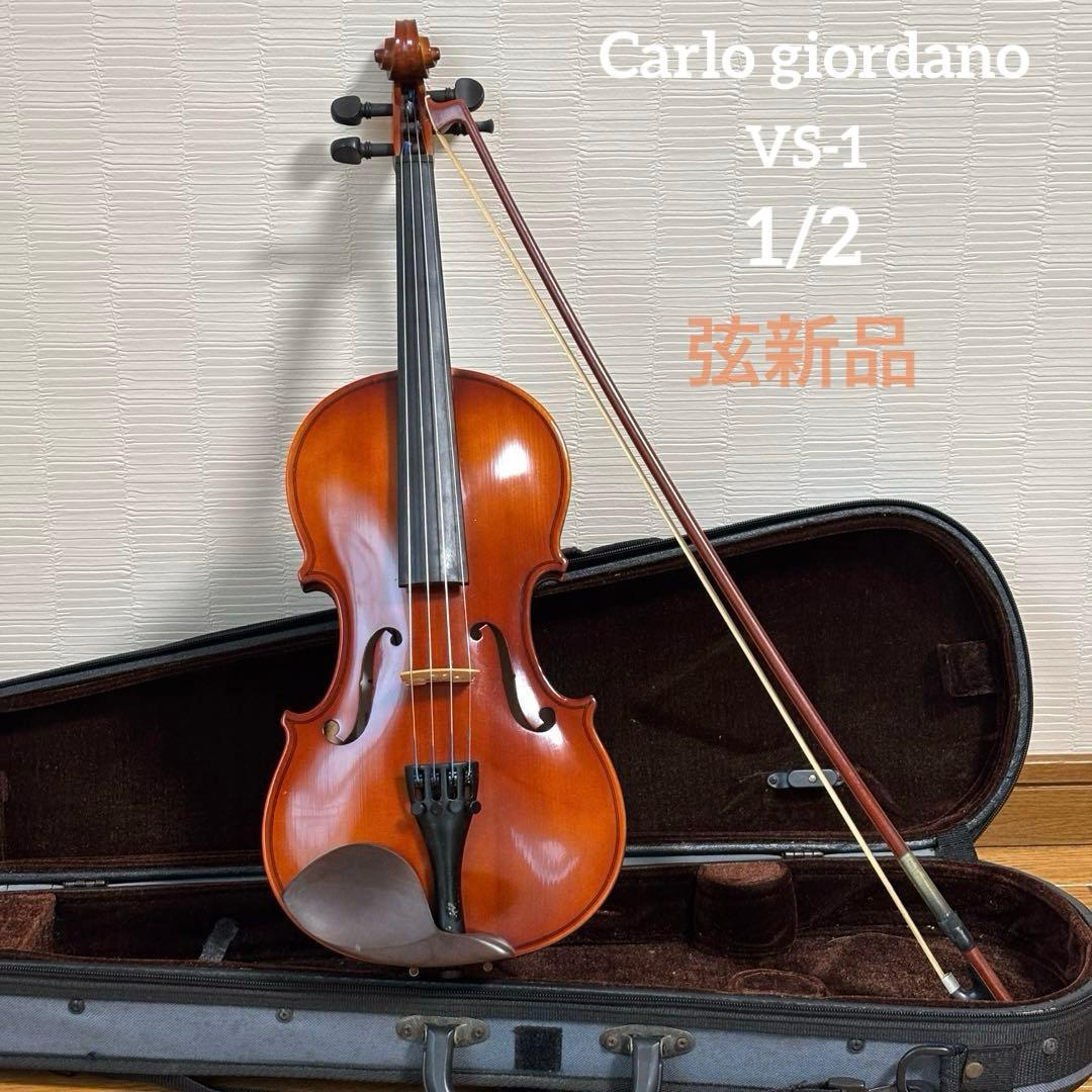 【弦交換済み】カルロジョルダーノ　VS-1 1/2