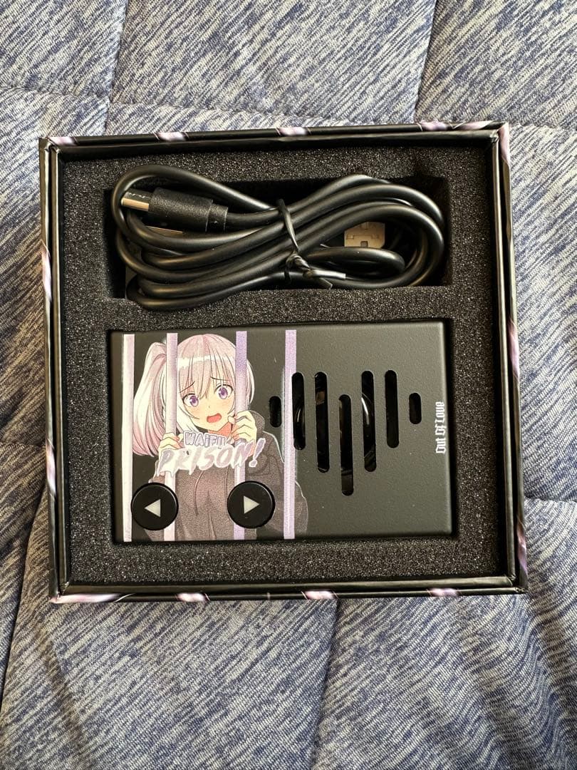 WAIFU PRISON! 車用スタートアップボックス