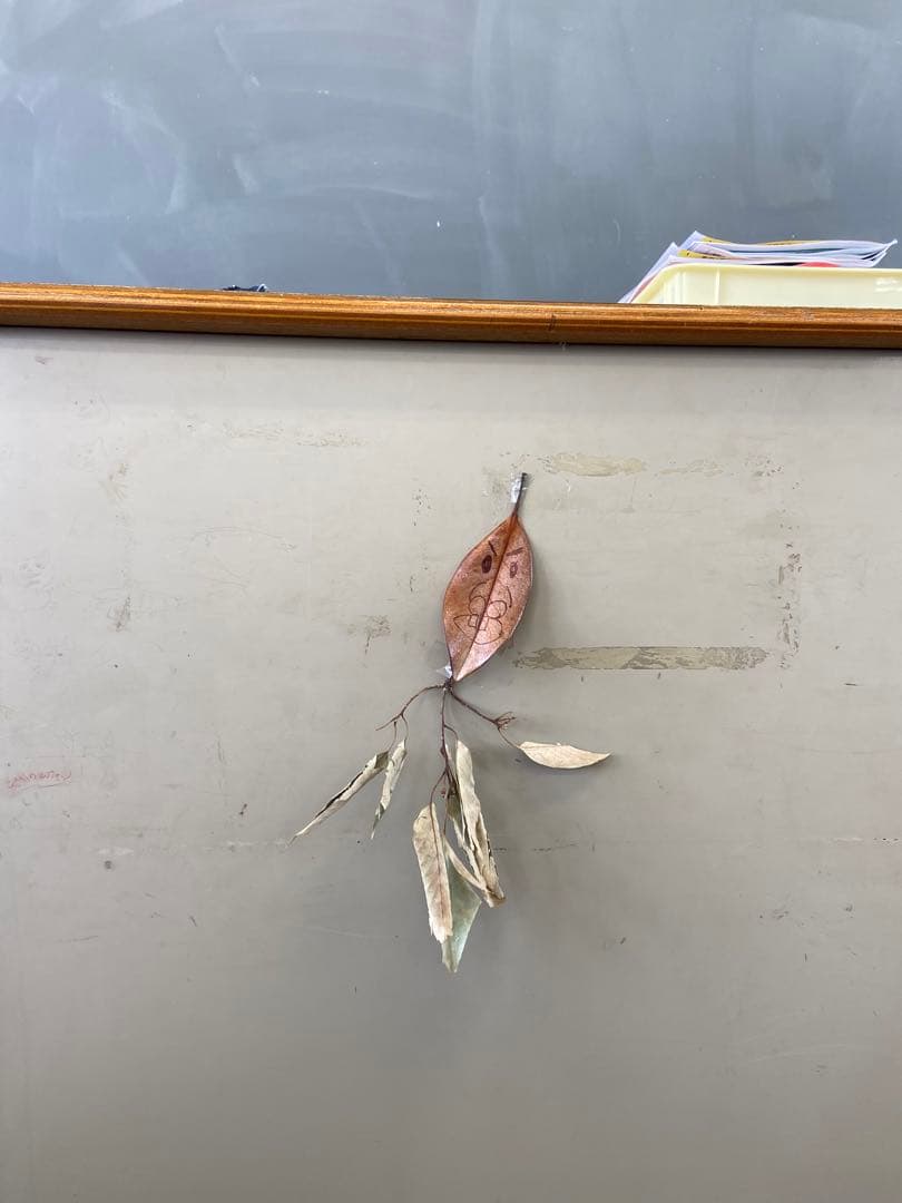 ドライフラワー 壁掛け用葉デザイン はっぱ丸　人気キャラクター