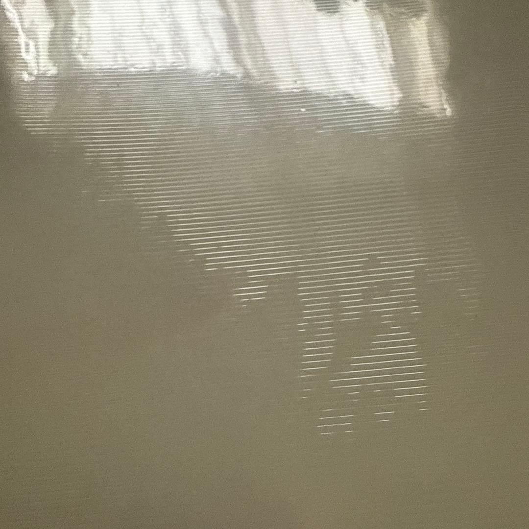 ⭐️新品⭐️グラスアート限定フィルム　透明ホワイト系　10枚セット