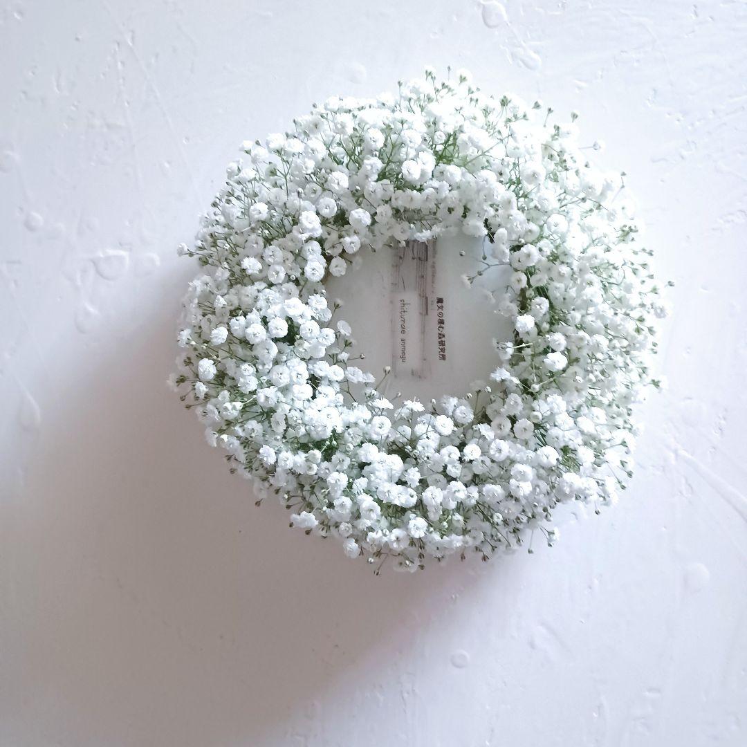 新品 未使用 カスミソウリース ドライフラワー リース 【ご予約】