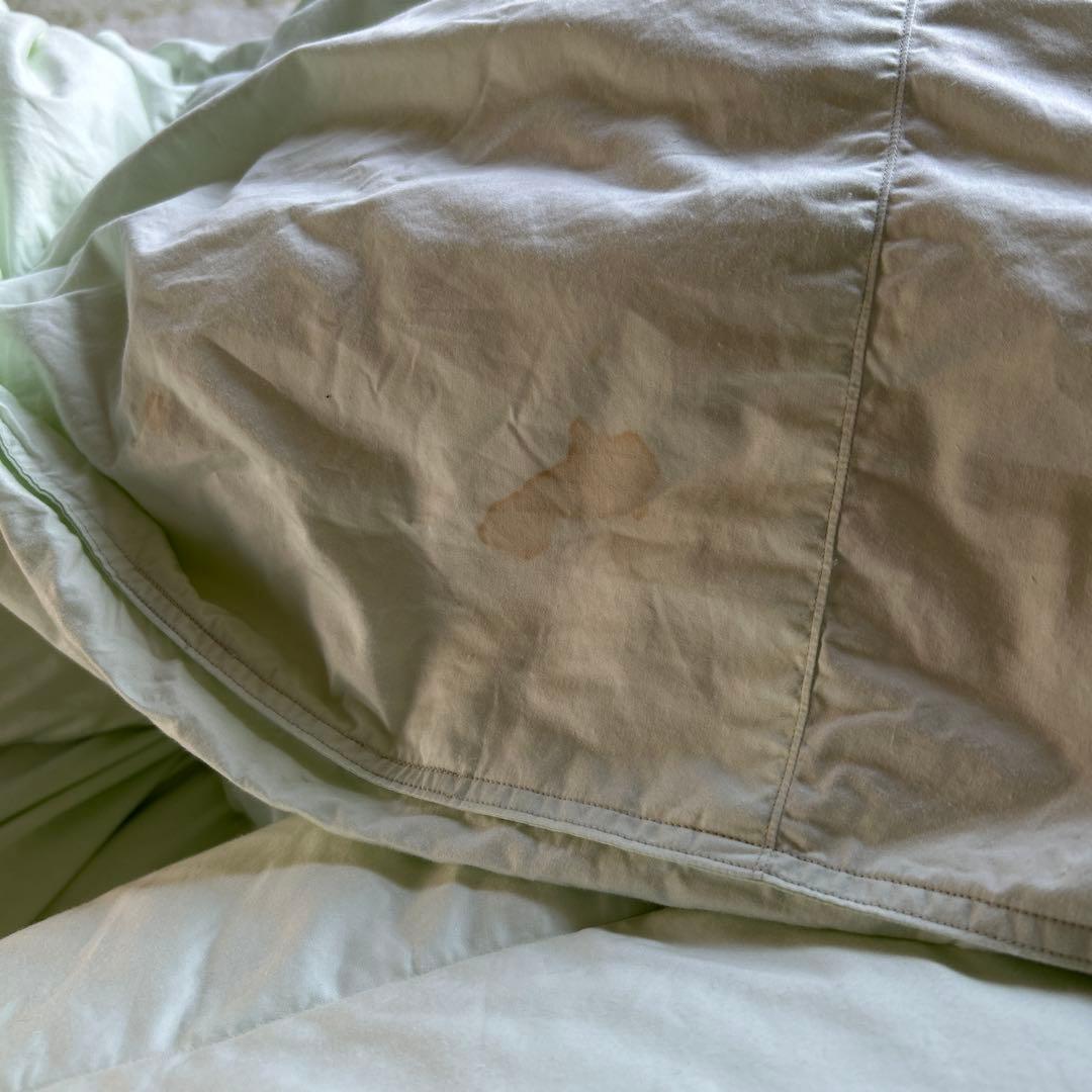 最高級グランドマザーグースダウン！ダブル！クリーニング済み！