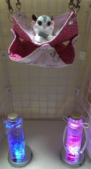 モンガハウス（猫・音楽） ドットピンク  春（夏）秋仕様  1900円