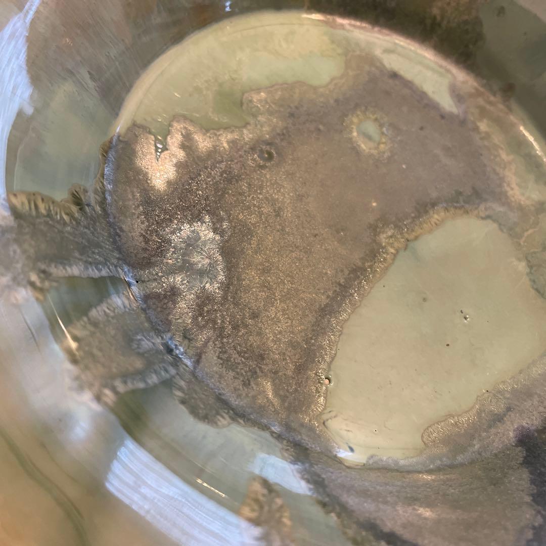 新品　神尾奈々さん　美しすぎるペアカップ&プレート4点セット　陶芸作家