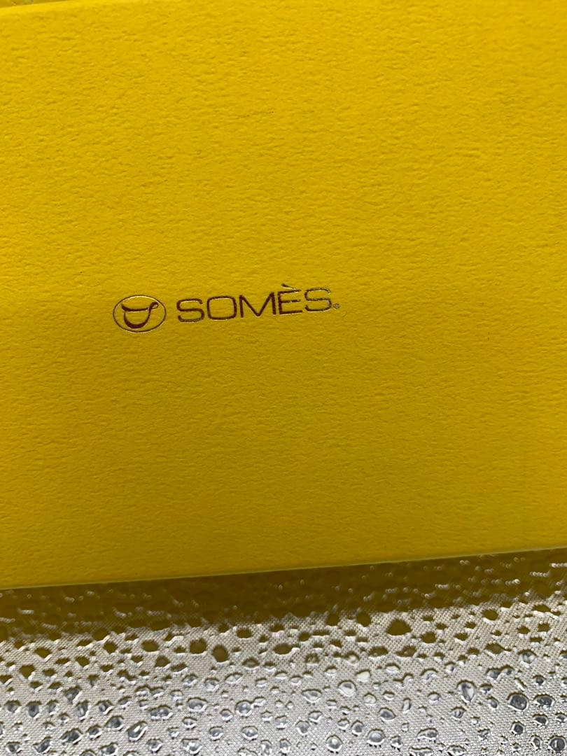 SOMES ソメスサドル 非売品 メガネ&ペンケース 2本刺 スケールポケット