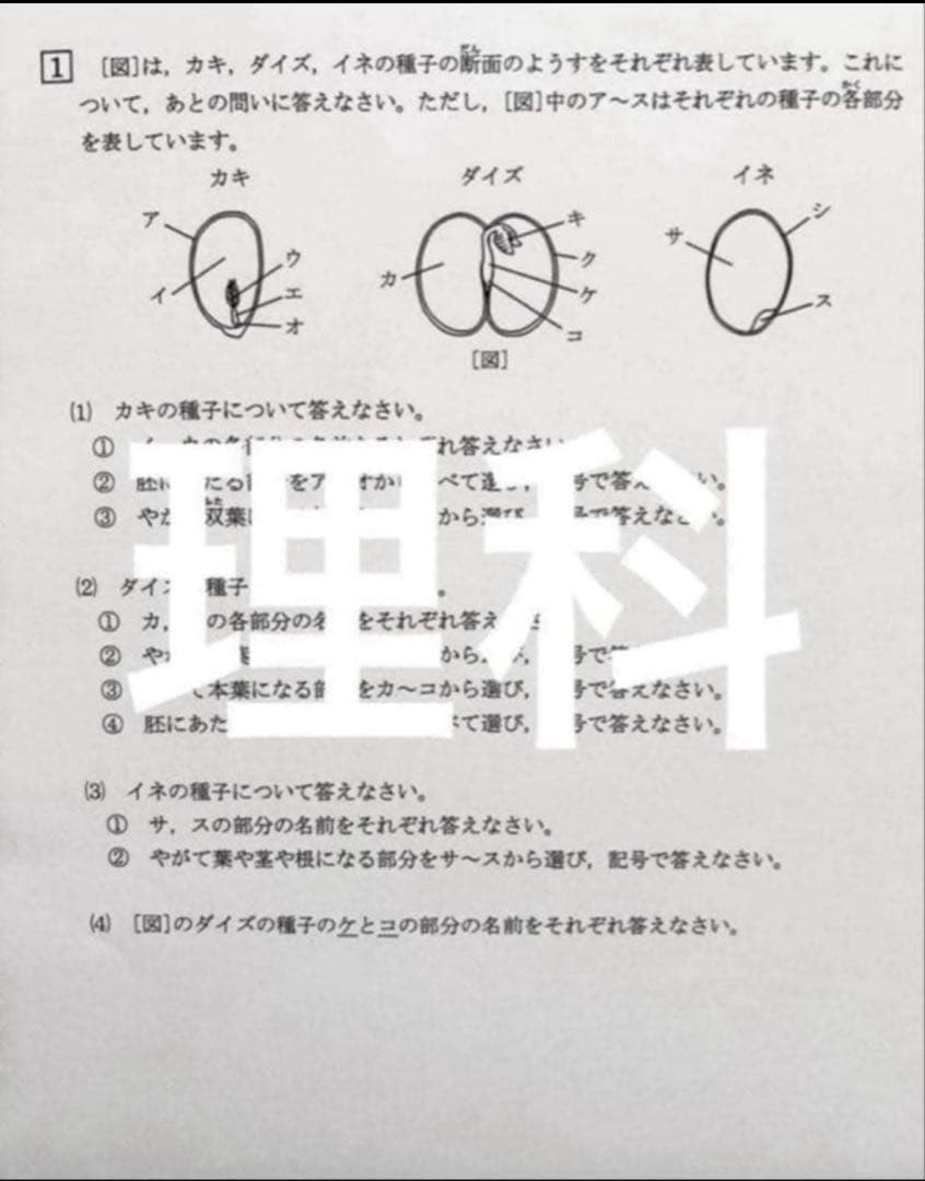 浜学園　小5 2024年度　3科目　Vクラス　復習テスト 国語、算数、理科