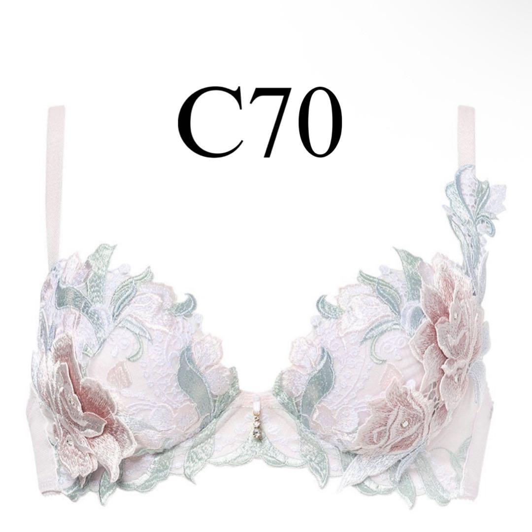 サルートC70ショーツ3点セット　新品未使用タグ付