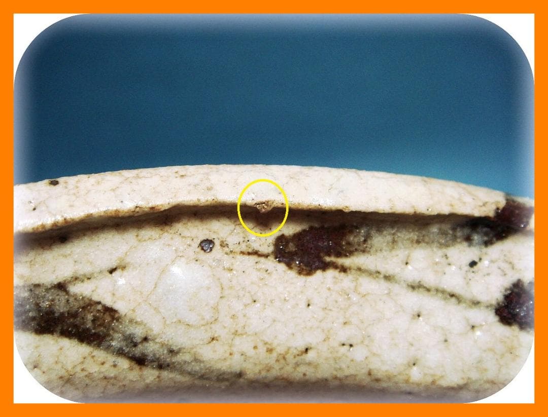 830『志野 花文 三ッ足鉢』　/骨董品 古美術 アンティーク 古玩