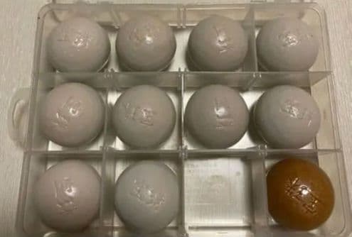 ENEX 宝珠 水宝セット