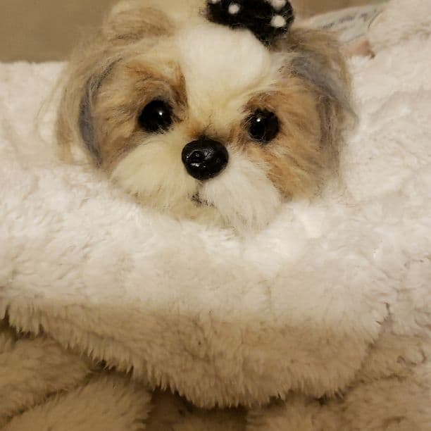 羊毛フェルト 　Mikicha