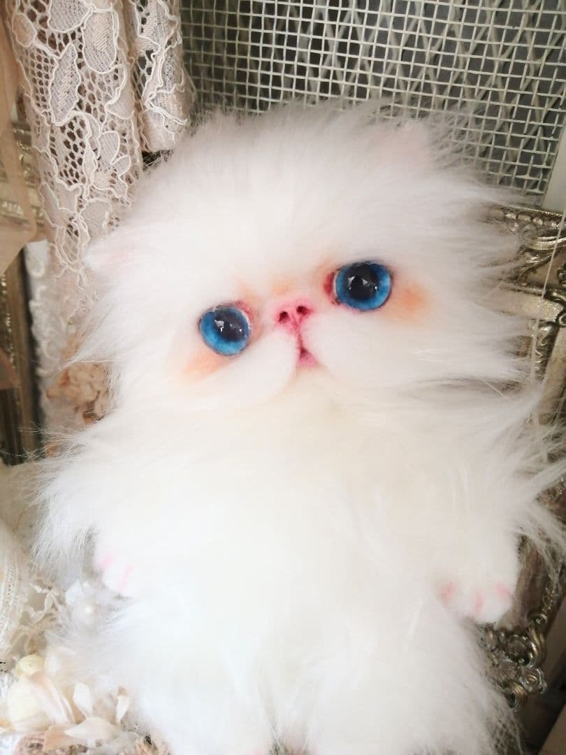 ぱっちりおめめ♡エキゾチック子猫ちゃん♡アートドール♡ぬいぐるみ♡