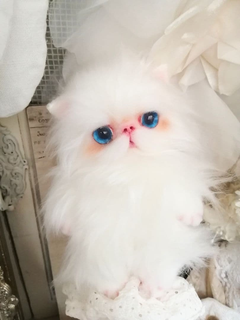 ぱっちりおめめ♡エキゾチック子猫ちゃん♡アートドール♡ぬいぐるみ♡