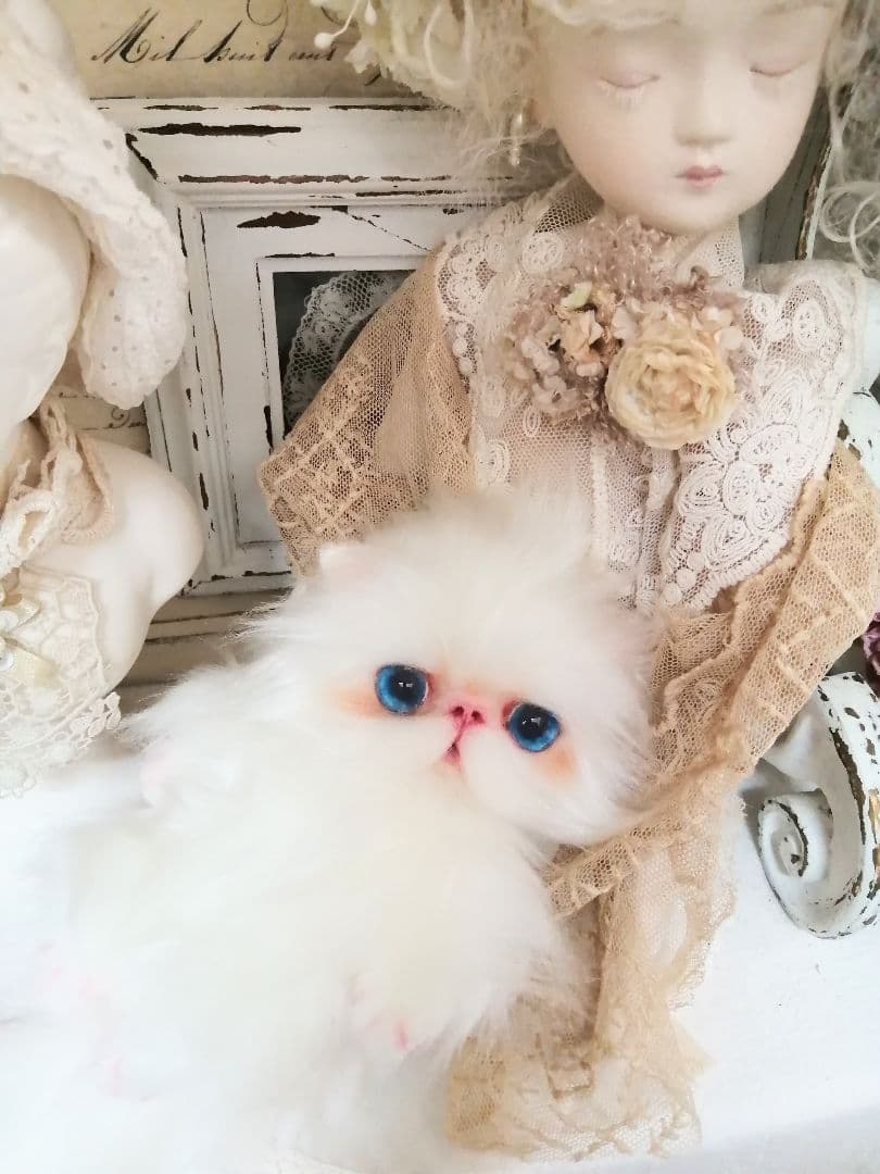 ぱっちりおめめ♡エキゾチック子猫ちゃん♡アートドール♡ぬいぐるみ♡