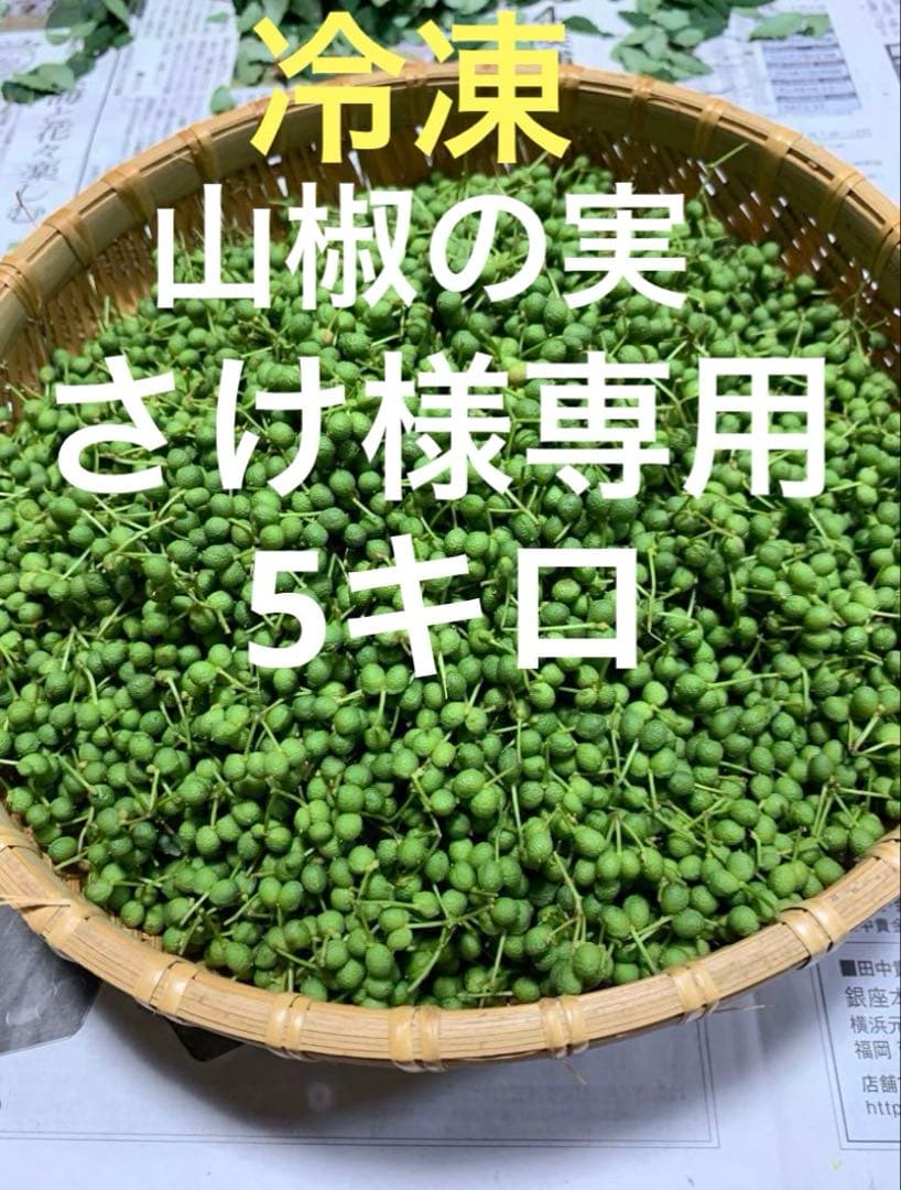 さけ　山椒の実　5キロ 冷凍