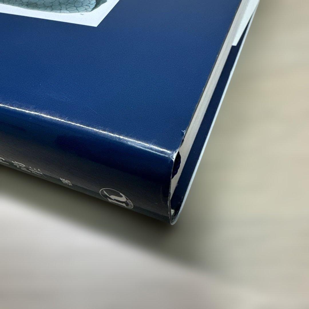 淺村・呼吸器外科手術