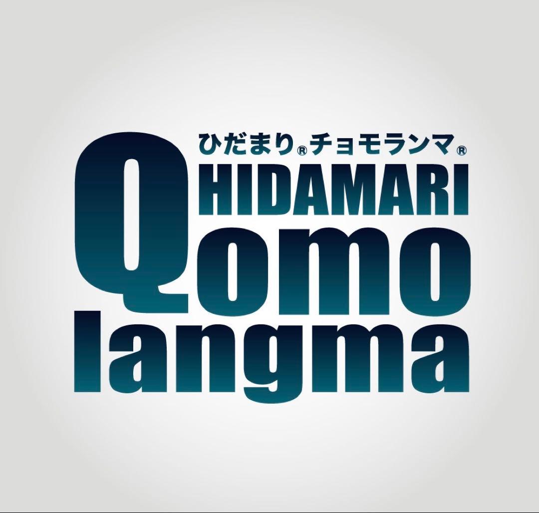 【正規品】ひだまり肌着 チョモランマ 婦人 長袖丸首インナーＬＬ　QMS823