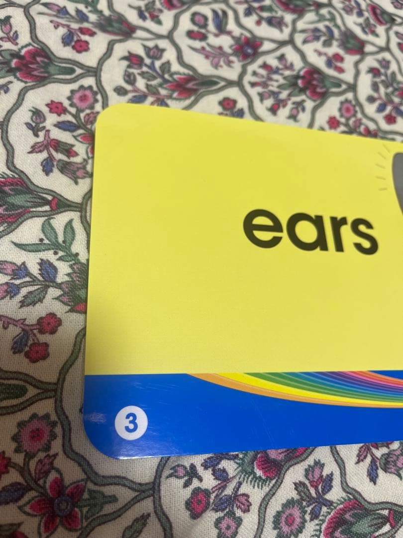 ふ*う様 ☆トークアロングプレイメイトエアー Q＆Aカード DWE ディズニー英