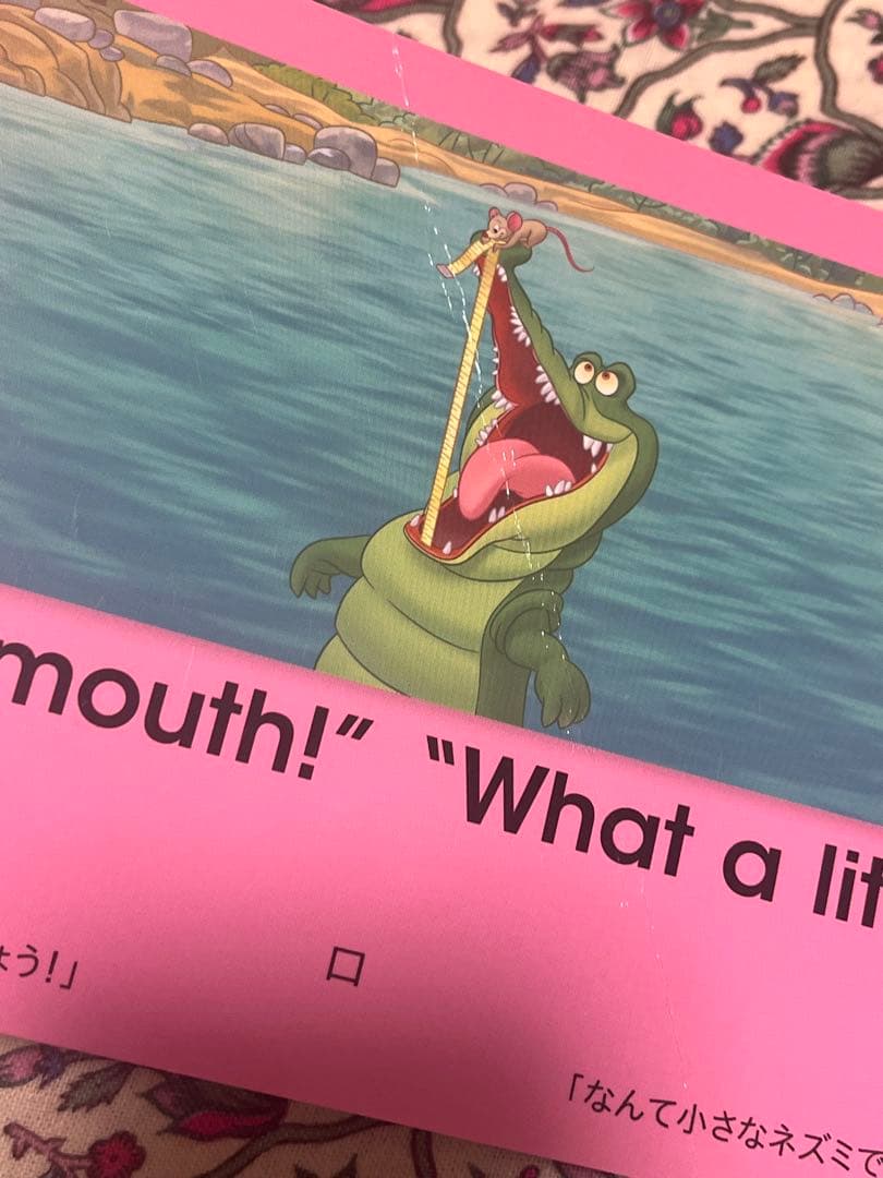 ふ*う様 ☆トークアロングプレイメイトエアー Q＆Aカード DWE ディズニー英