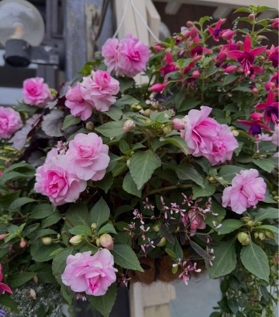 あー☆ ワコール　premium☆E70 上下セット　新品