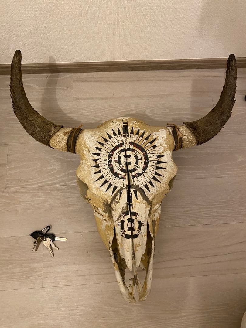 バッファロースカル　短期出品　貴重即決早い者順にて