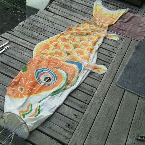 オレンジ色の鯉のぼり