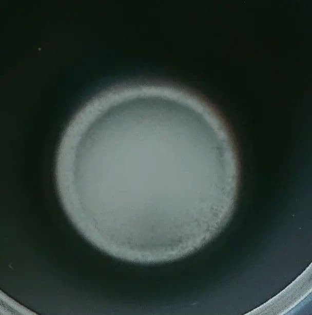 LE CREUSET＊ルクルーゼ ココット エブリィ 20cm フィグ