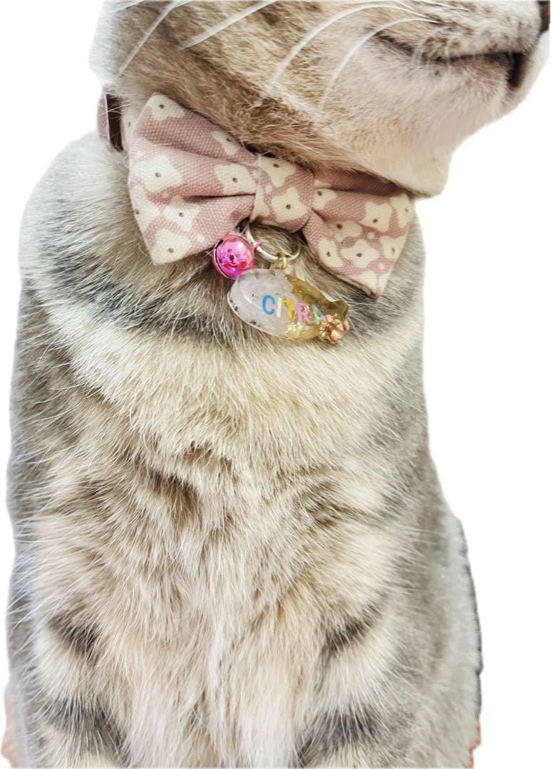 お名前プレートオルゴナイト 猫ちゃんワンちゃんに