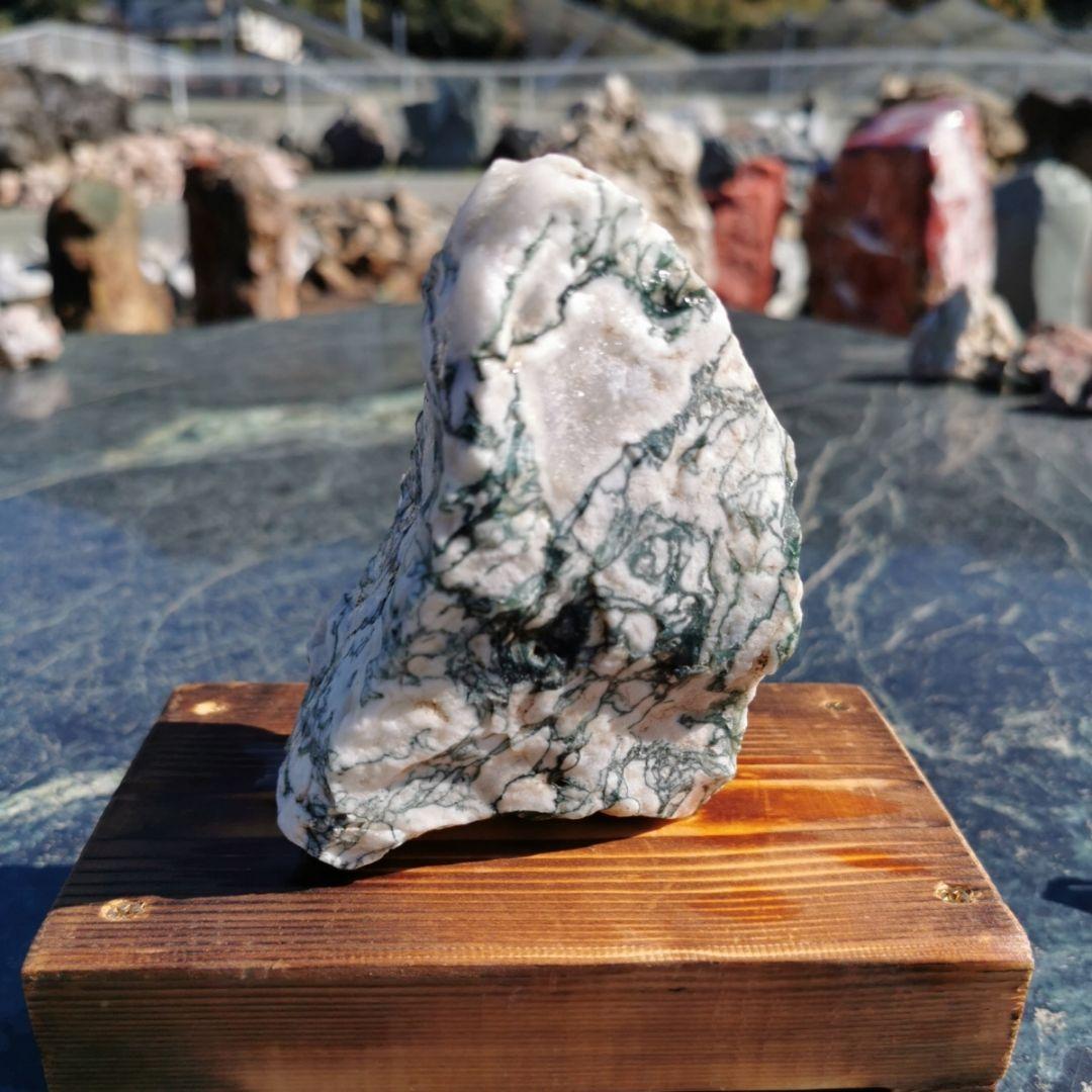 ツリーアゲート　738グラム　鑑賞石　原石　宝石　鉱物　パワーストーン　石