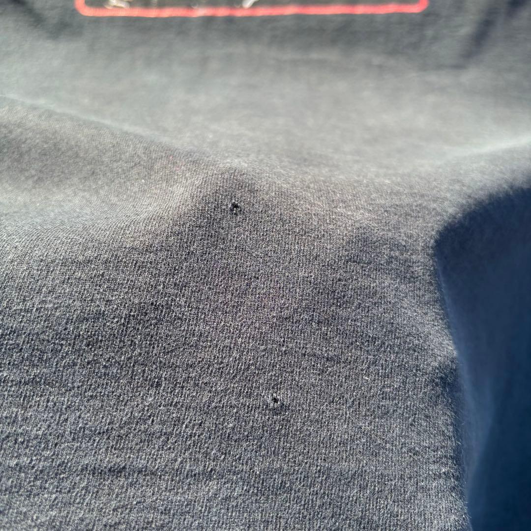 SUBLIME vintage tシャツ XL 90s 00s SKUNK