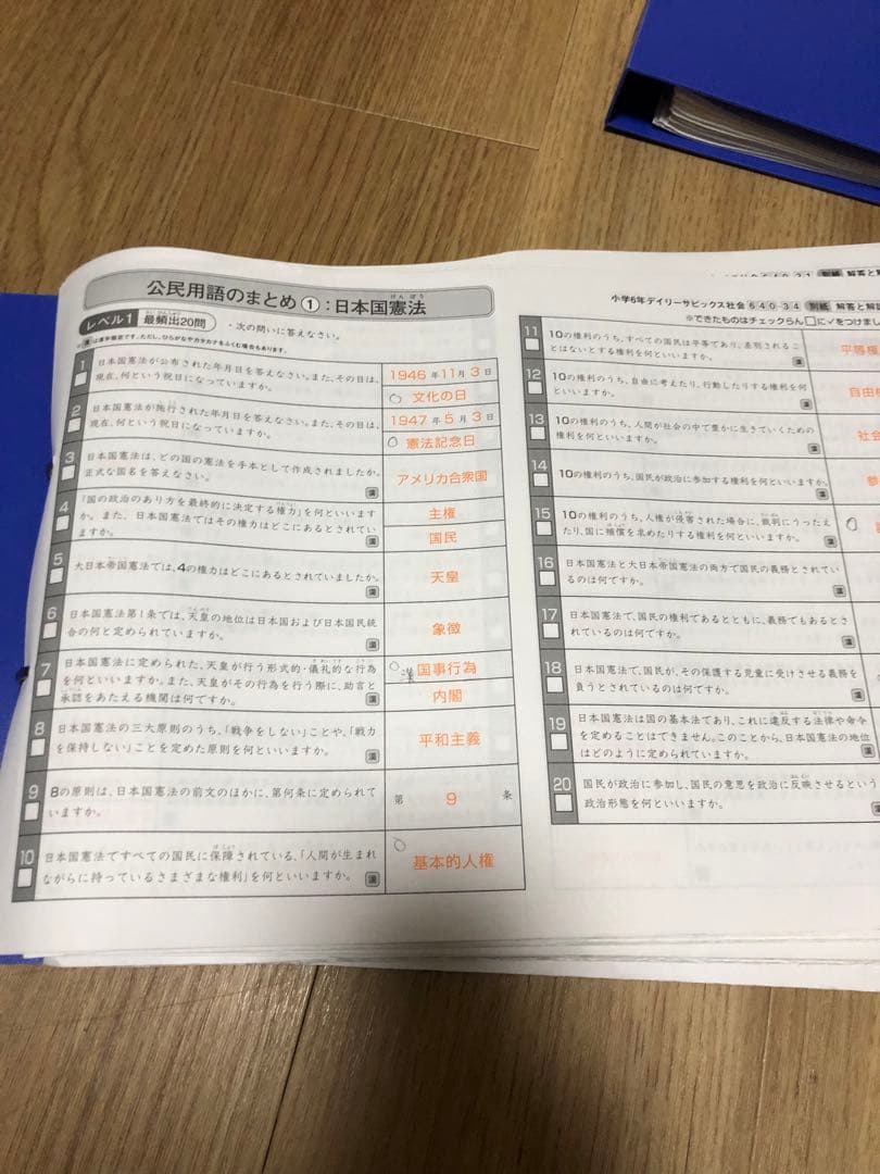 サピックス　知識の総完成