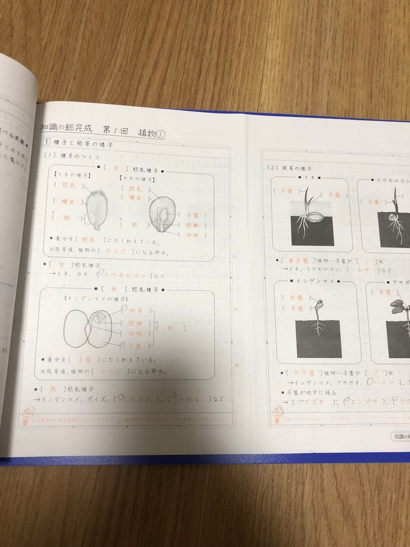 サピックス　知識の総完成