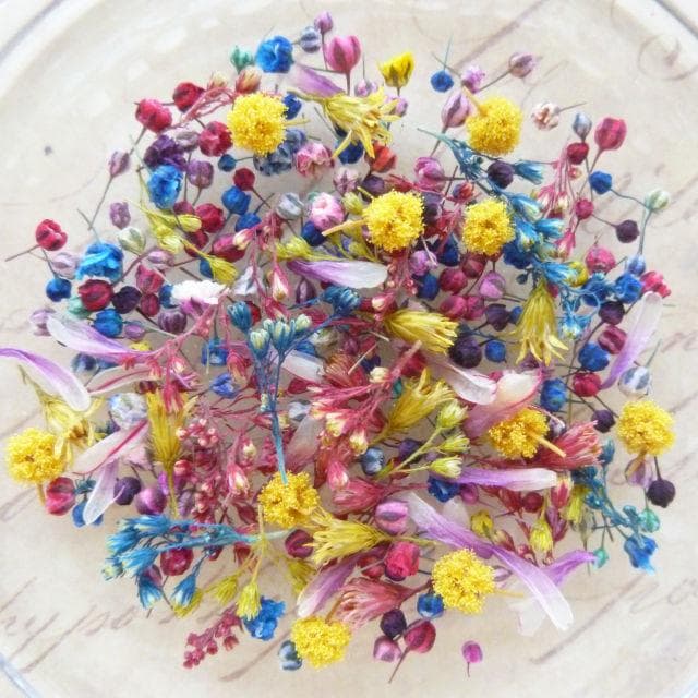 i-be様◆【ドライフラワー】小花つぼみ mix（0825）