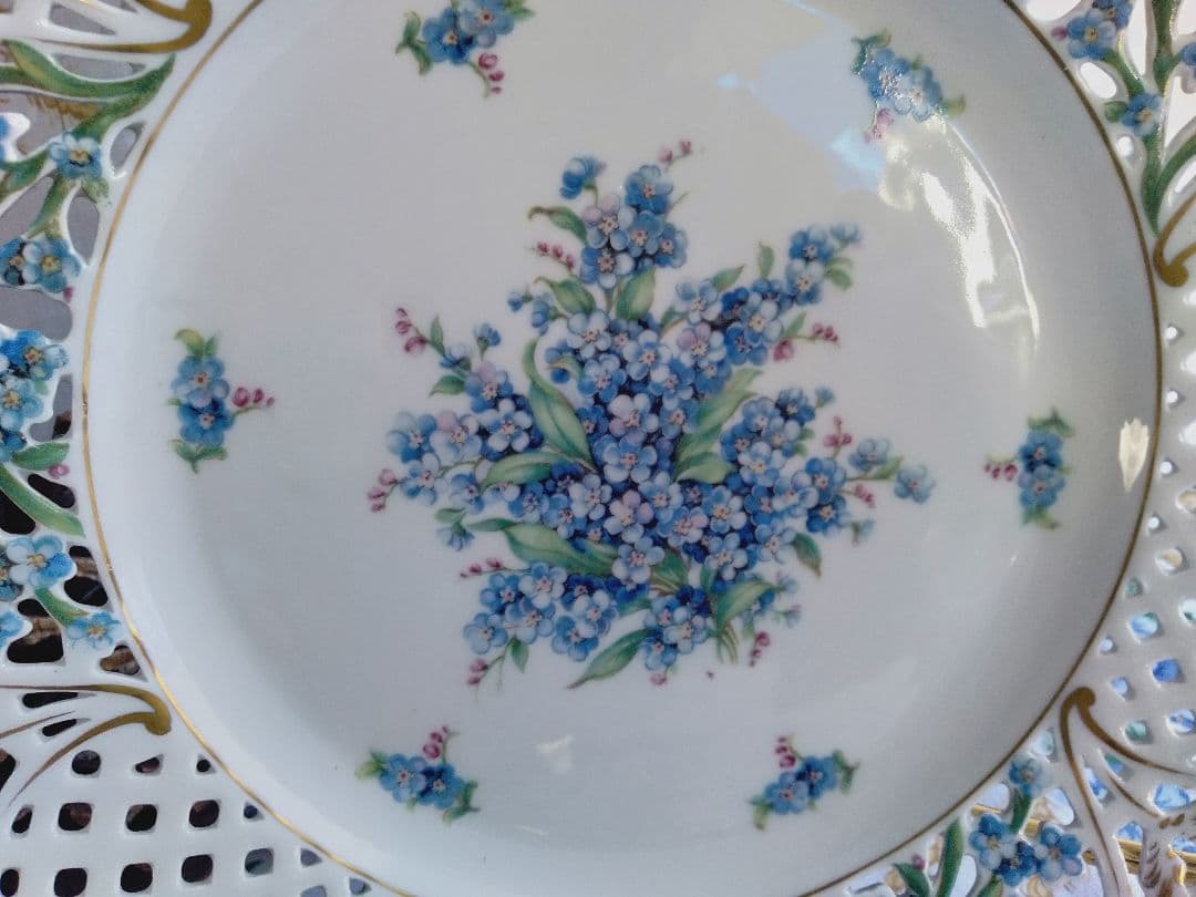 シューマンババリア　勿忘草　26.5㎝