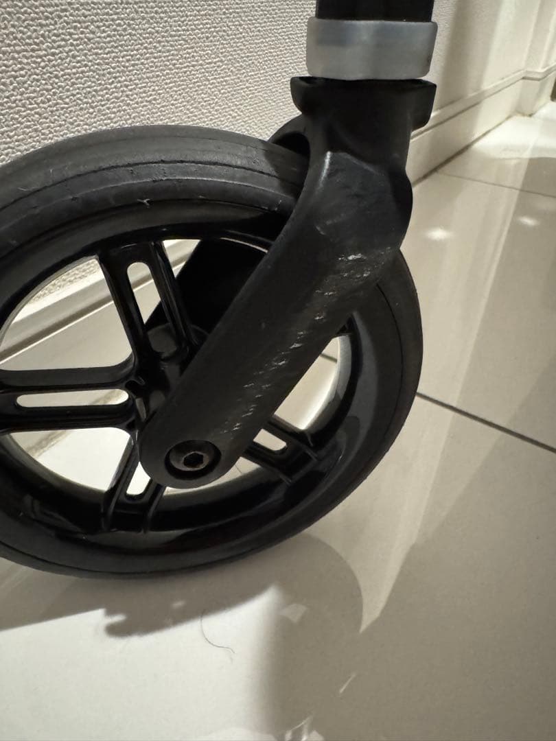 サイベックス　メリオカーボン　2021