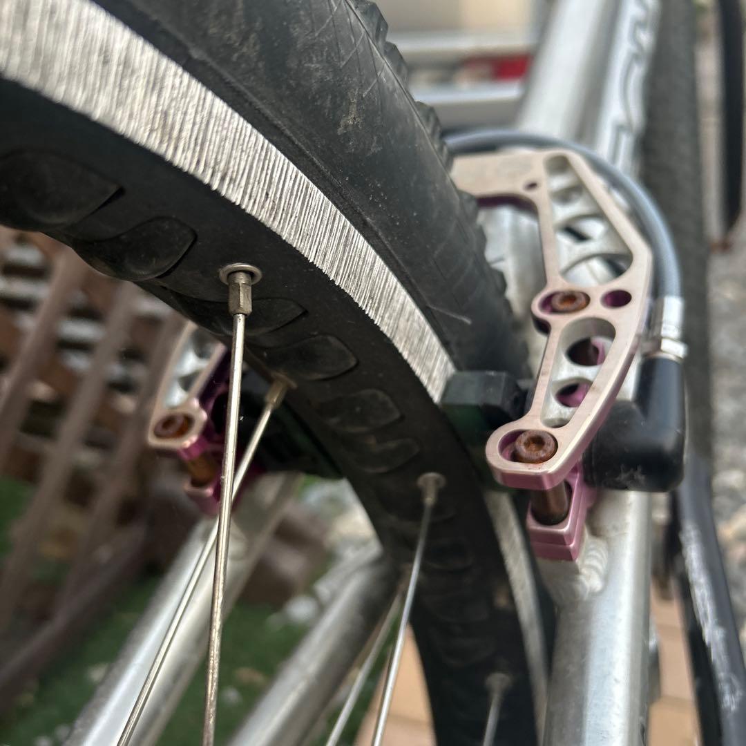 ECHO トライアル